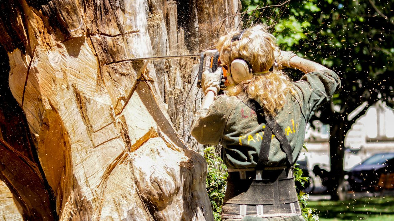 Qualified arborist with chainsaw assessing and removing a dangerous tree in Hampshire