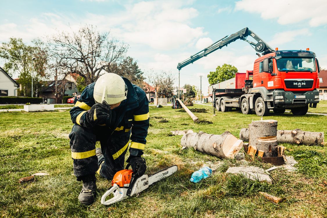 Professional tree surgery team with aerial work platform attending to storm-damaged trees in Hampshire